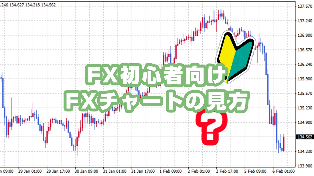 FX初心者向け FXチャートの見方とローソク足の基本を解説